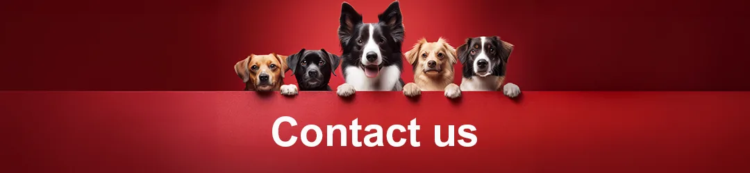 Contact Pupps & Stud